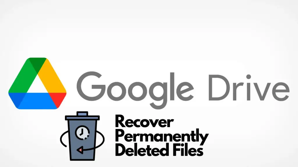 How To Retrieve Files From Google Drive